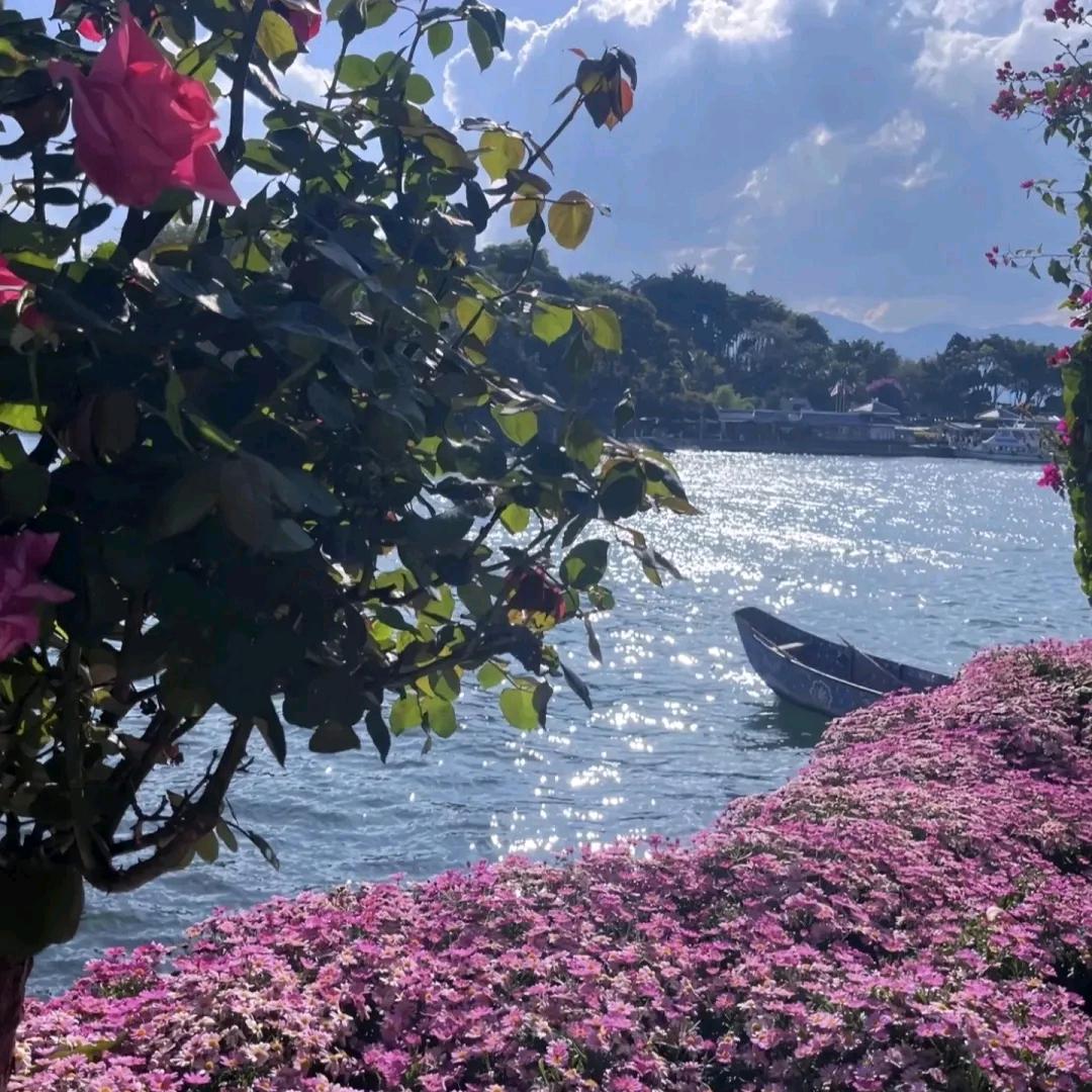 仙几何易亿母婴内裤