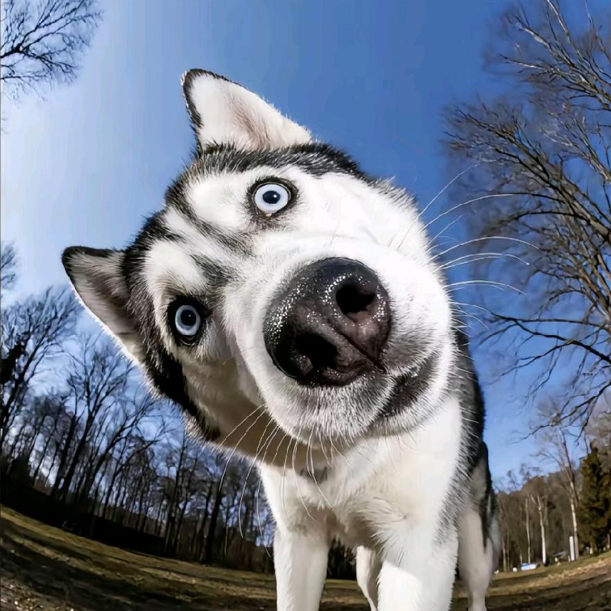 日月心