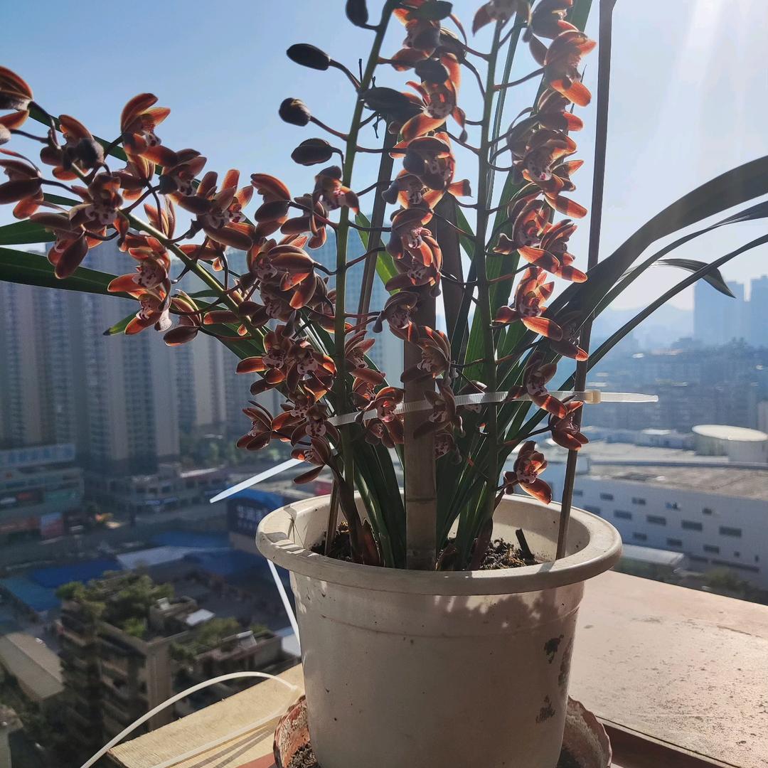 累了无处安放