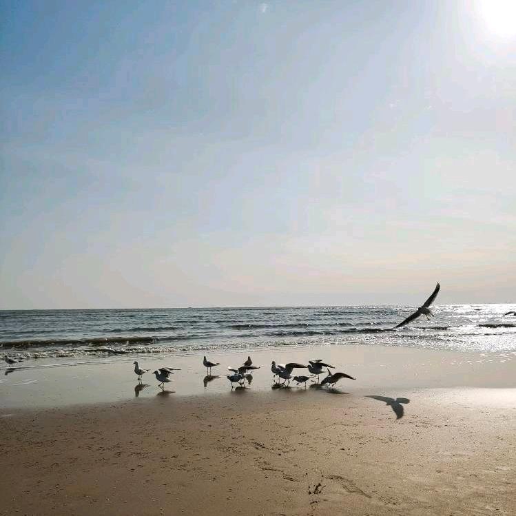 信心，不想说太多！等相信自己