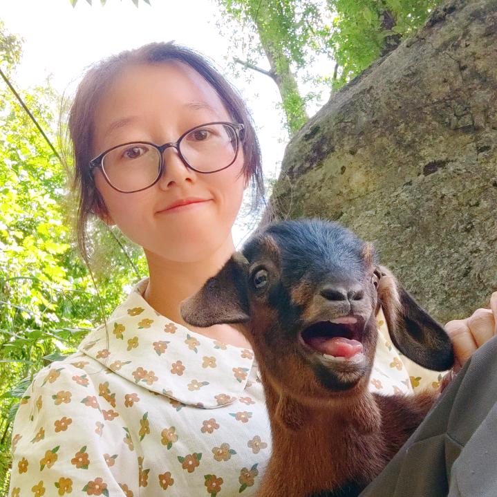 大山放羊妹土特产