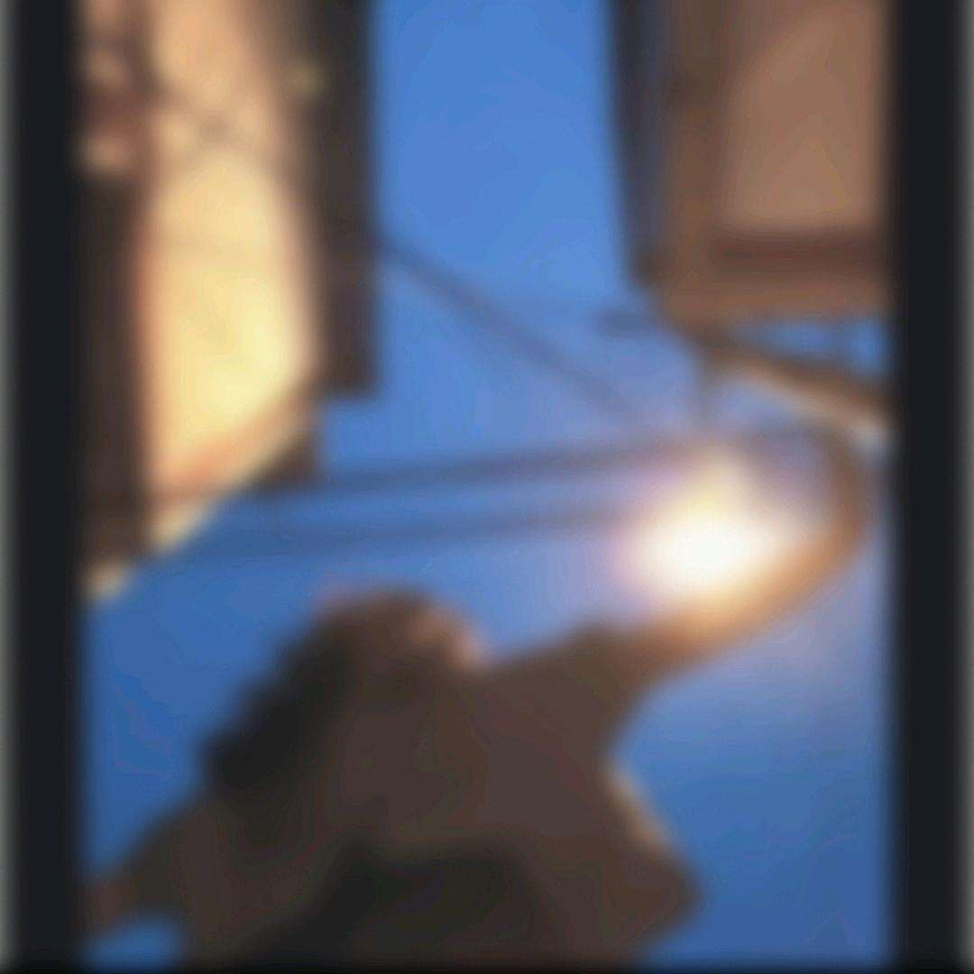 纸鱼