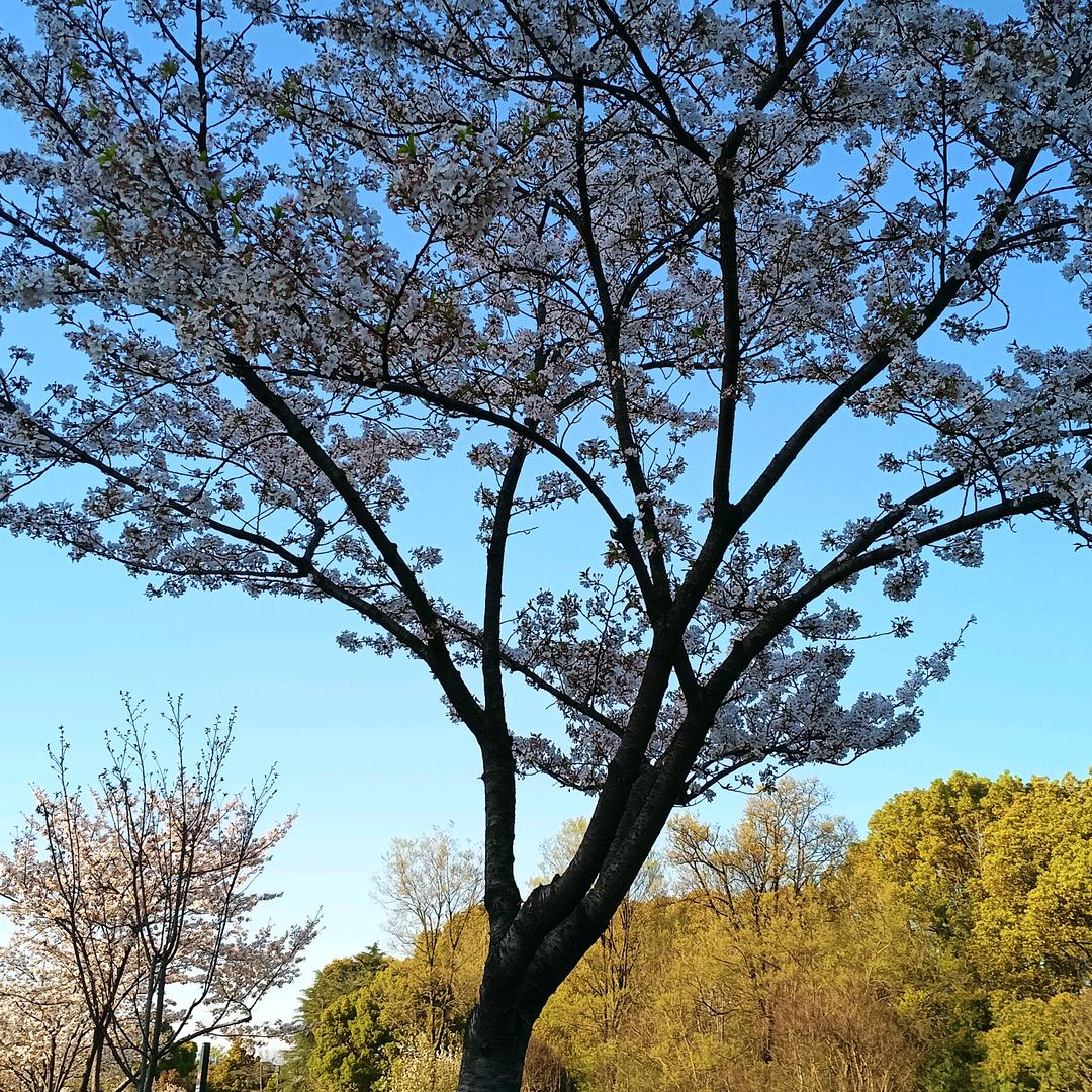 🦋🦋@🕊꧔ꦿ᭄💞小小💞꧔
