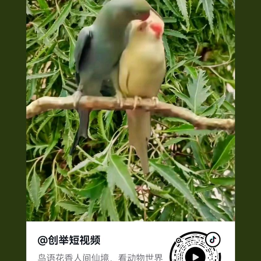 小明  字