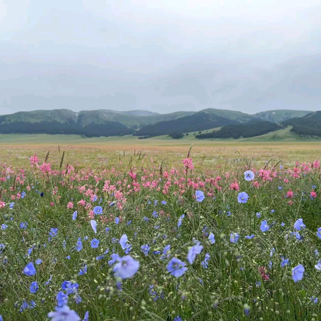 岁月安好