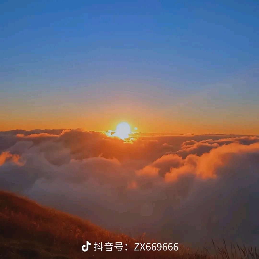 迷糊小游戏