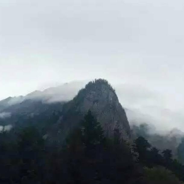 周大山