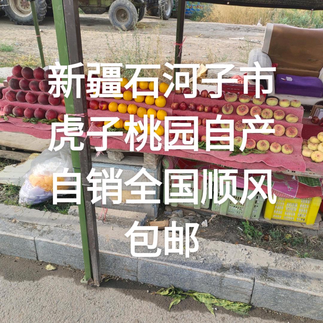 跑调虎子