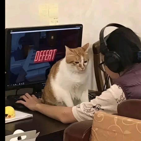 再見