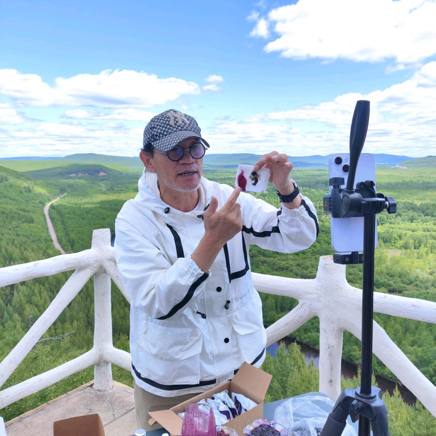 蓝百蓓森林食品