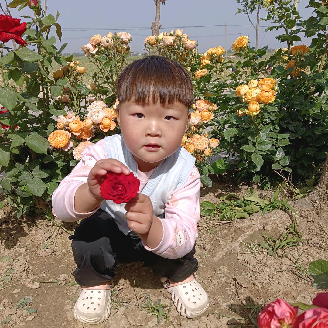 🌹🔥芊芊奶奶🌸🌹