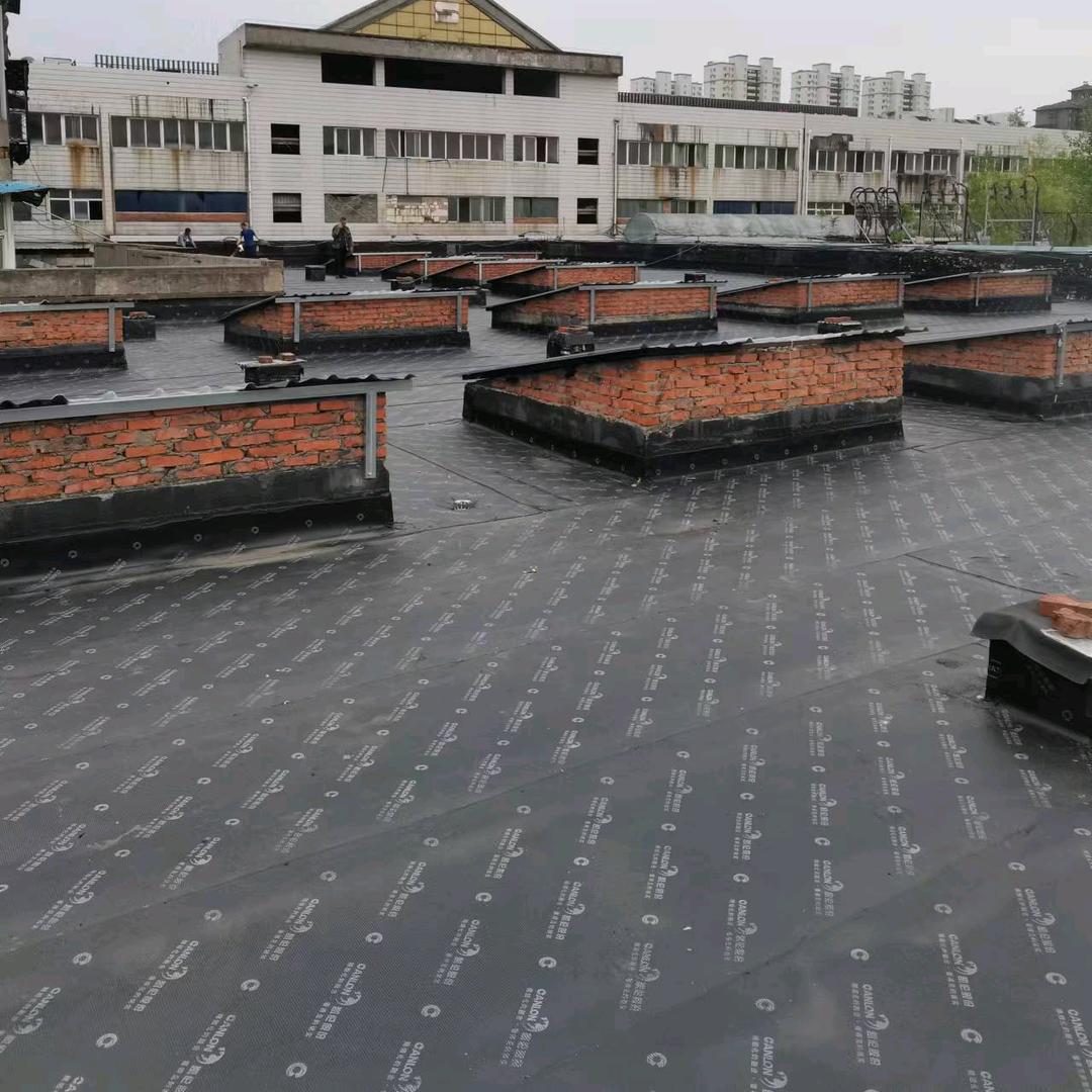 阜阳（殷姐）防水厂家直销