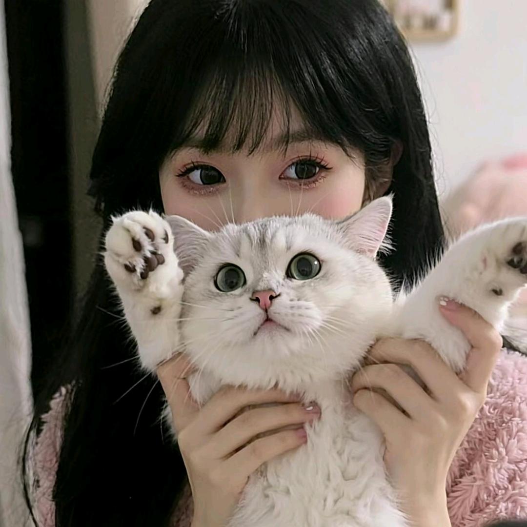 玖颜💞