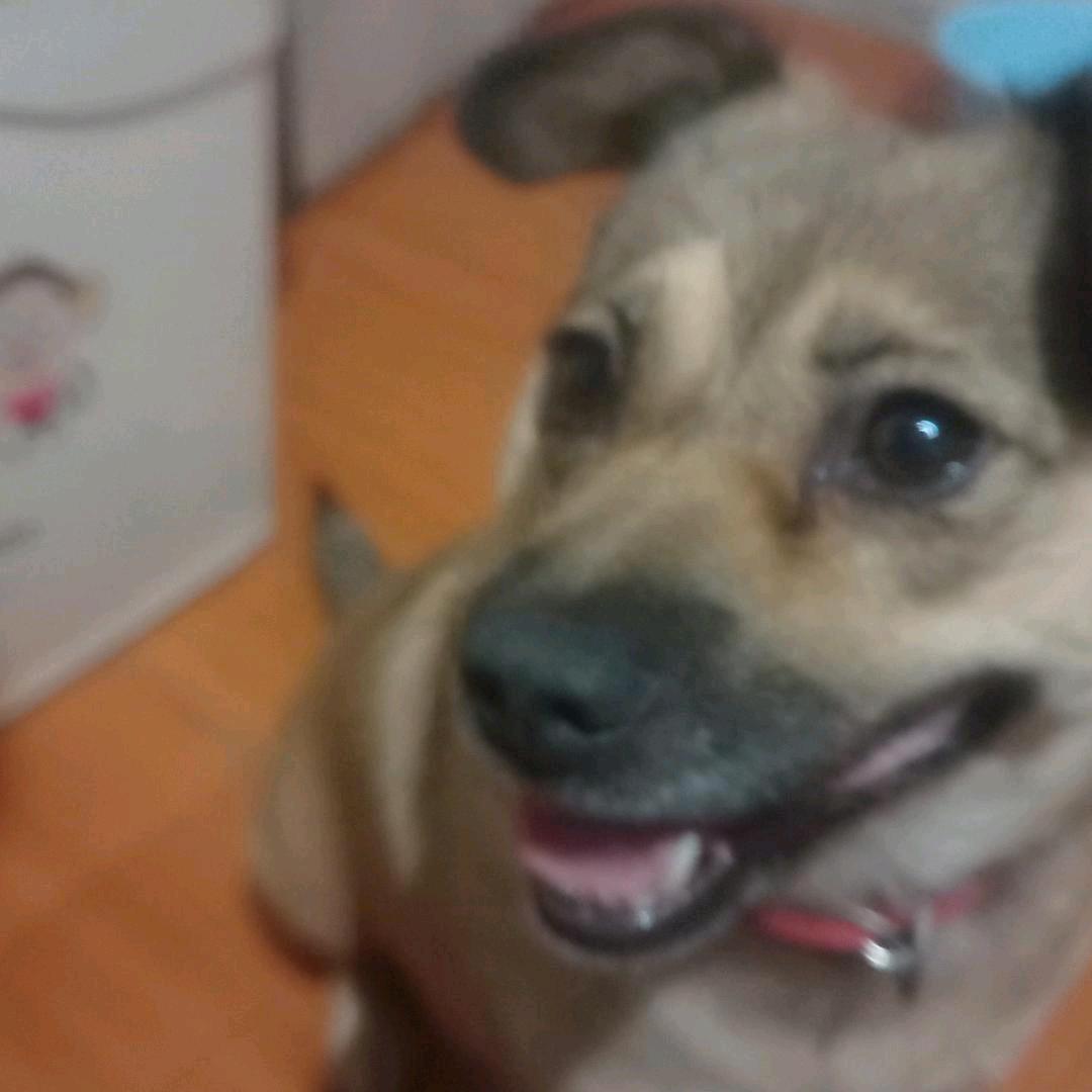 人心善为好