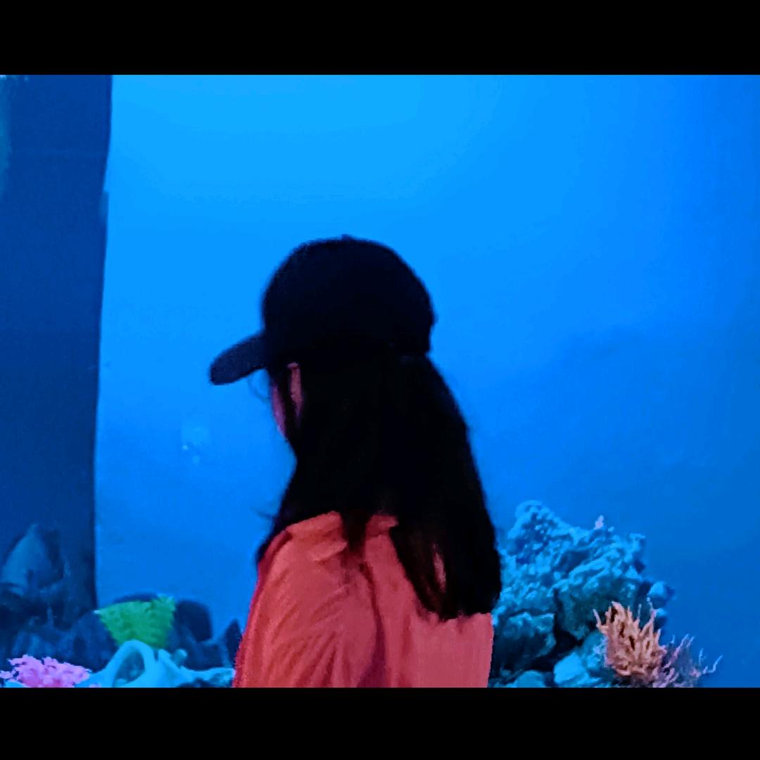 幻夏如沫
