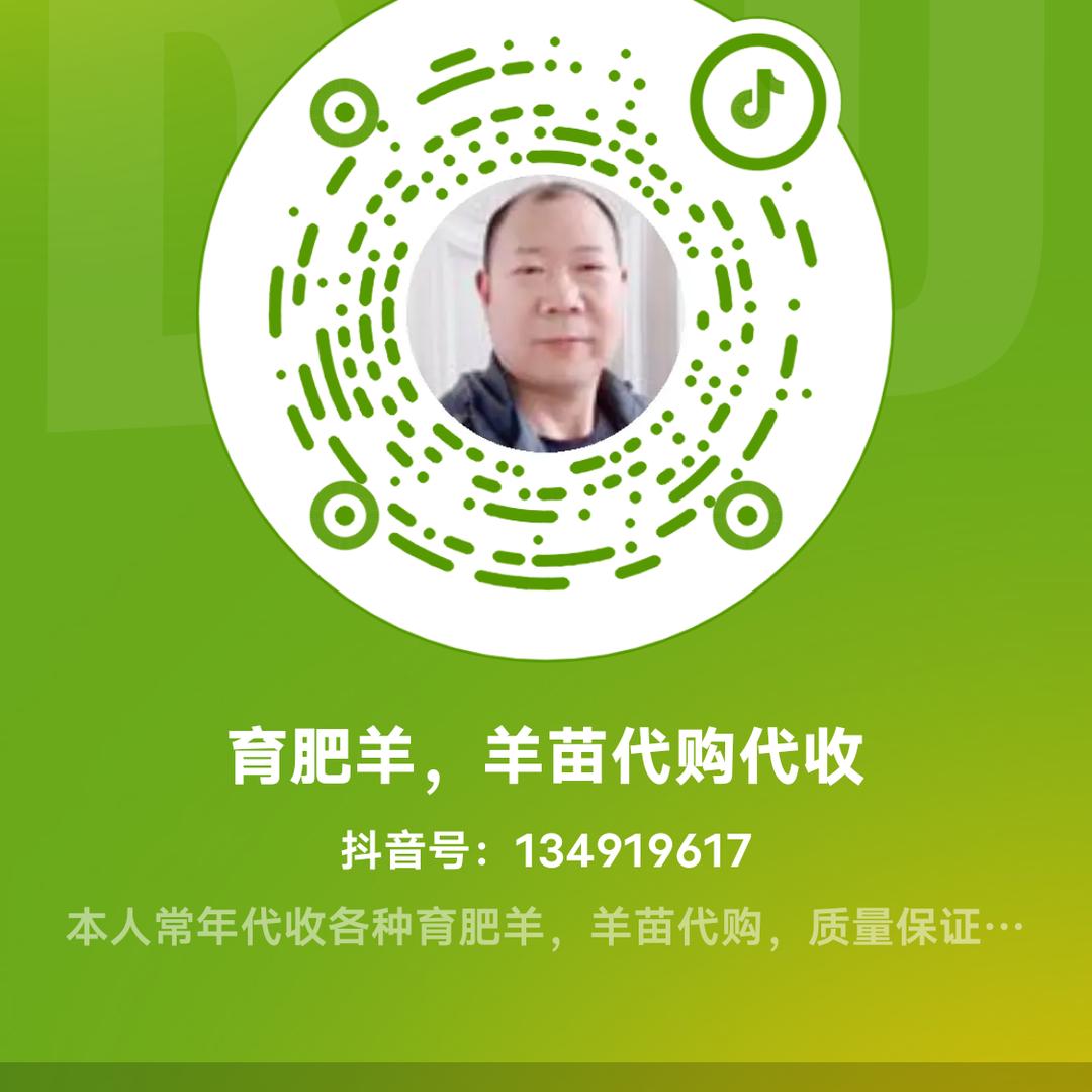 育肥羊，羊苗代购代收