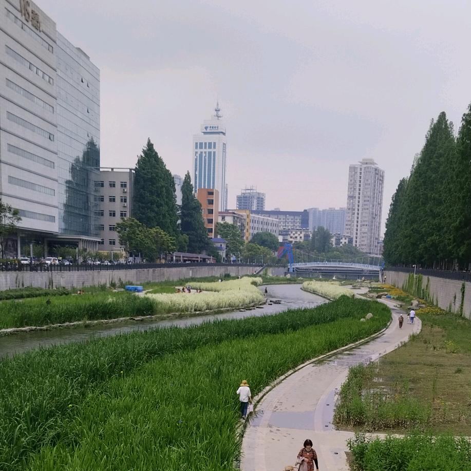 栀子花开😀😀😀