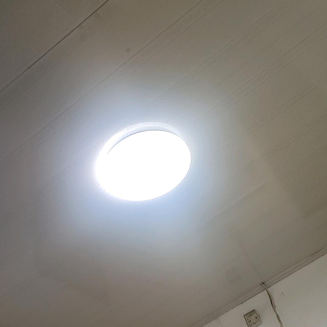 寻觅天堂