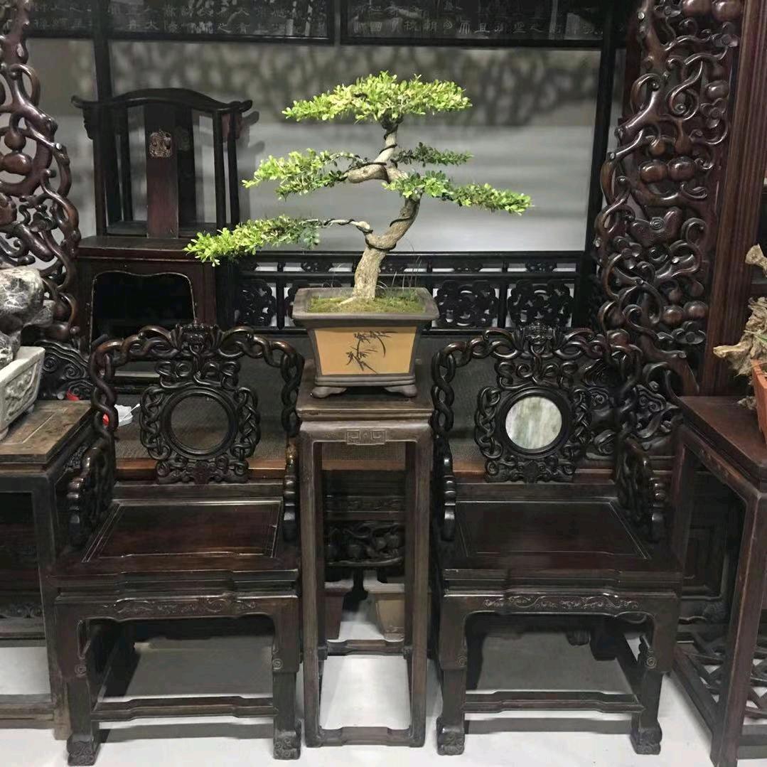 鹤舞神州