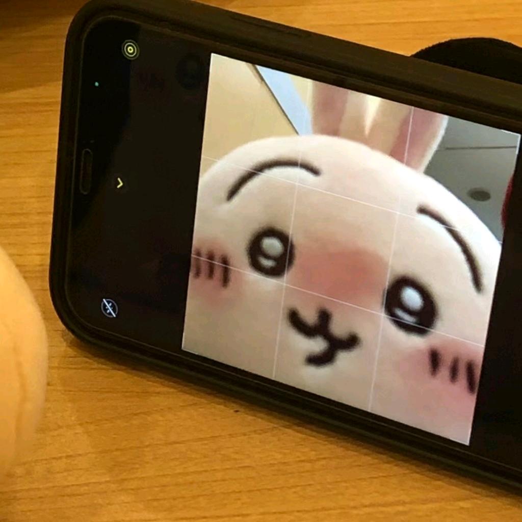 (=^▽^=)