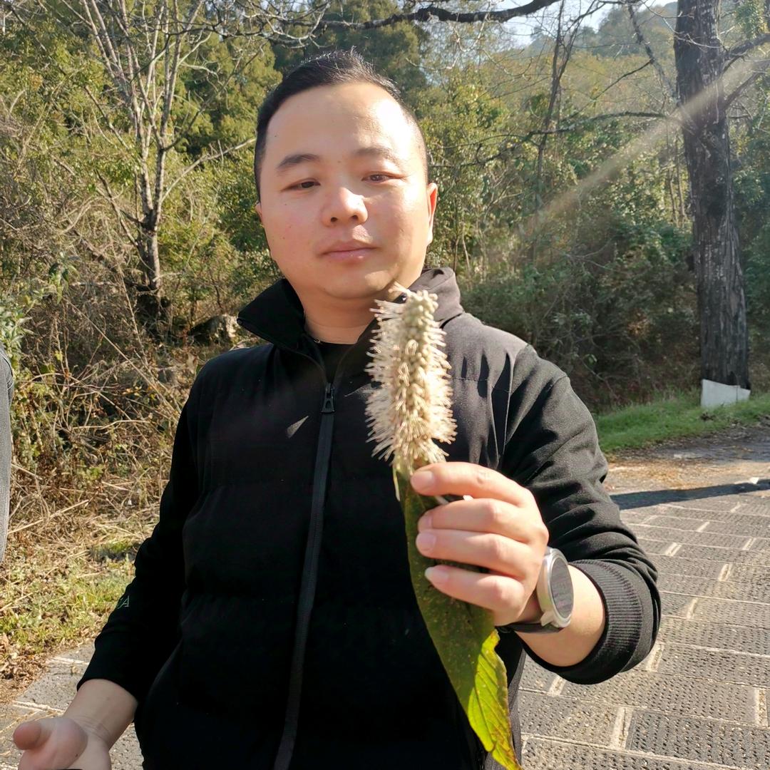 我是田工
