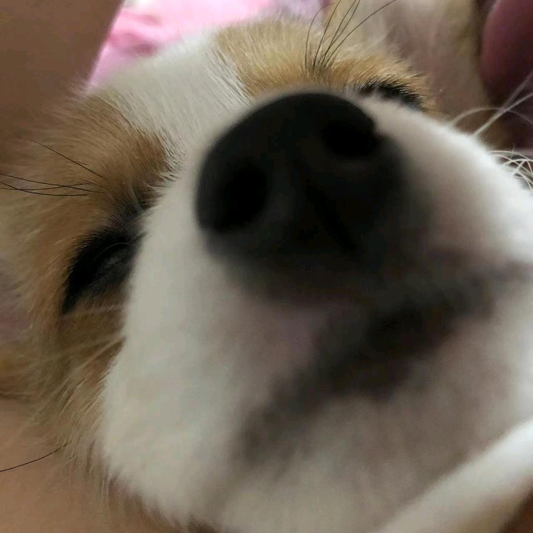 张大顺