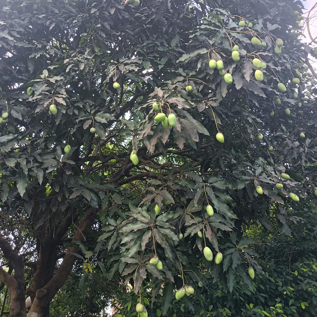 不忘初心，方得始终