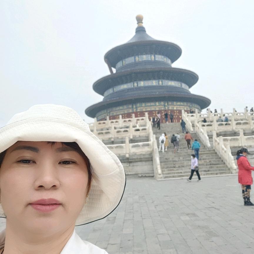 迎芳窗帘
