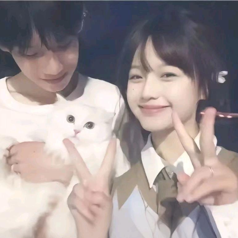 犯贱