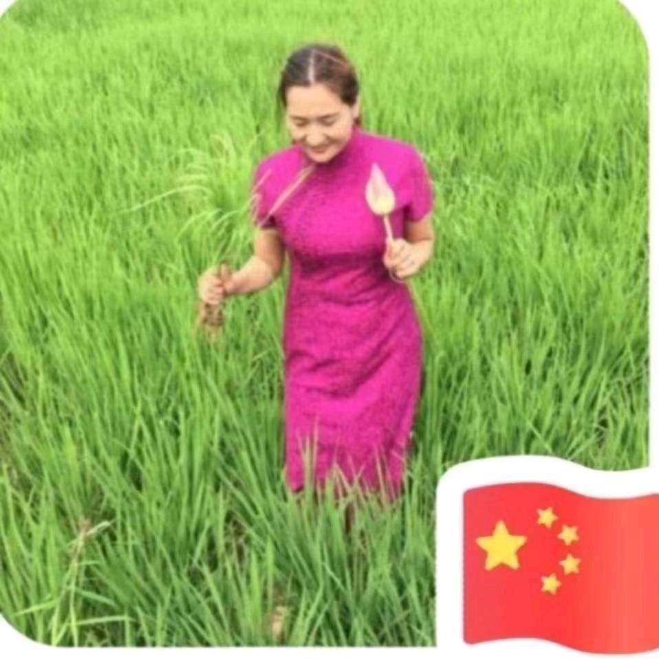 裴裴