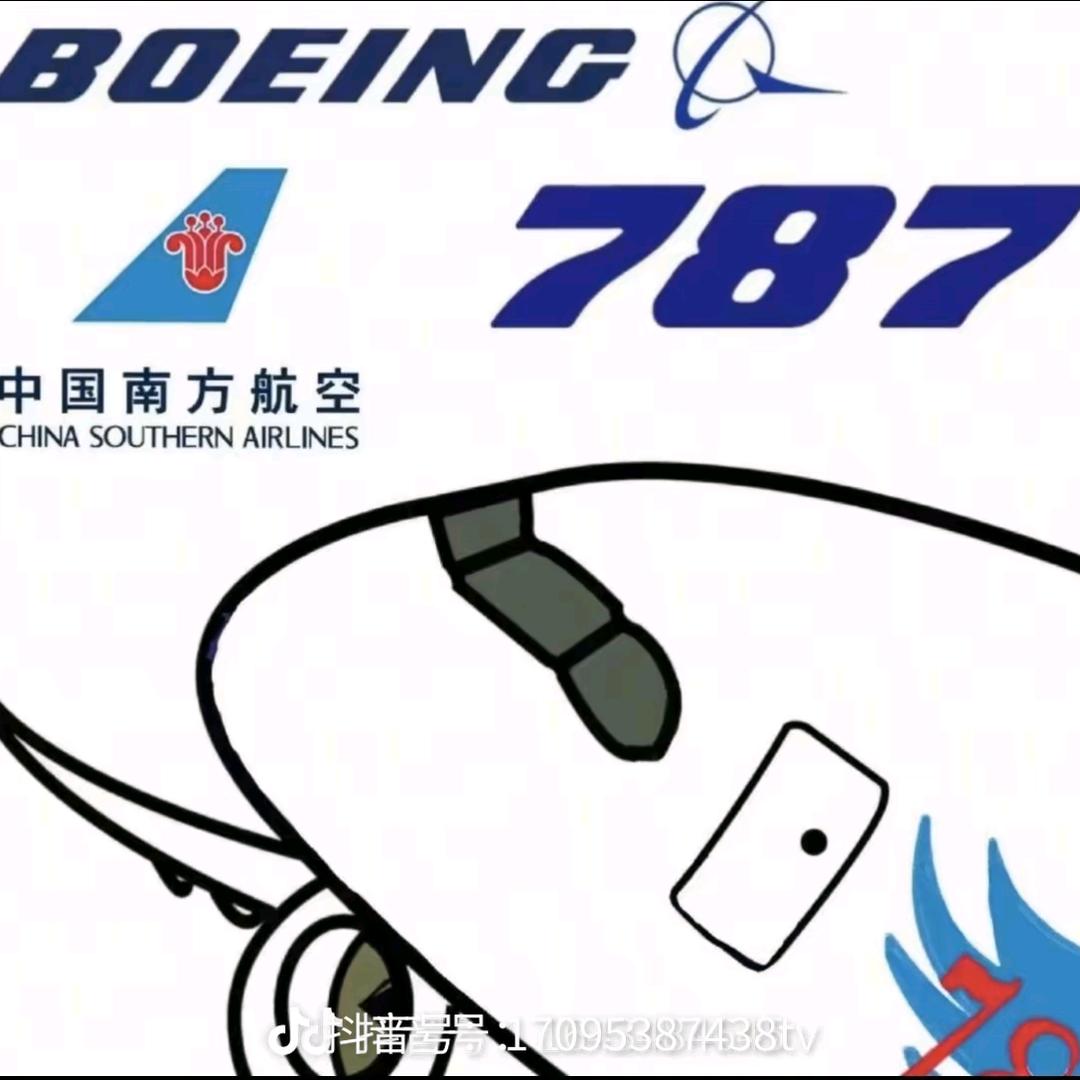 787飞机