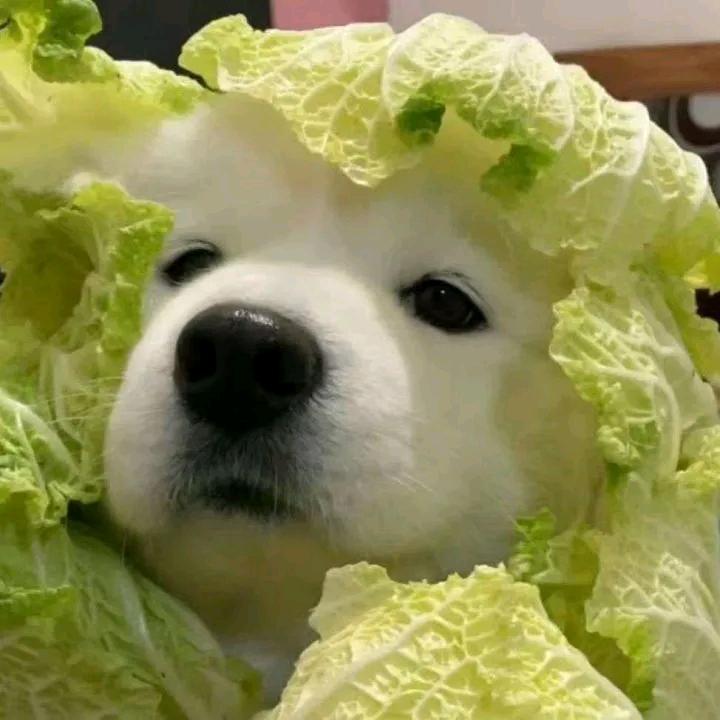 终于找到我的校园卡了