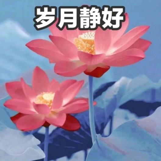 镹鼝冣卛ˣ⁹ʰ🥂