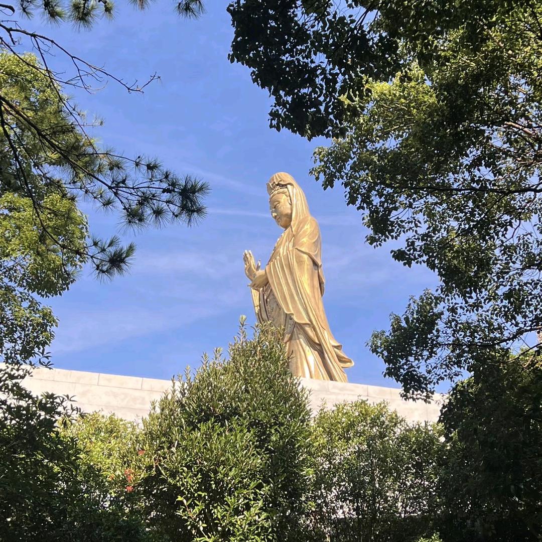 江苏显忠工贸丿奚帅