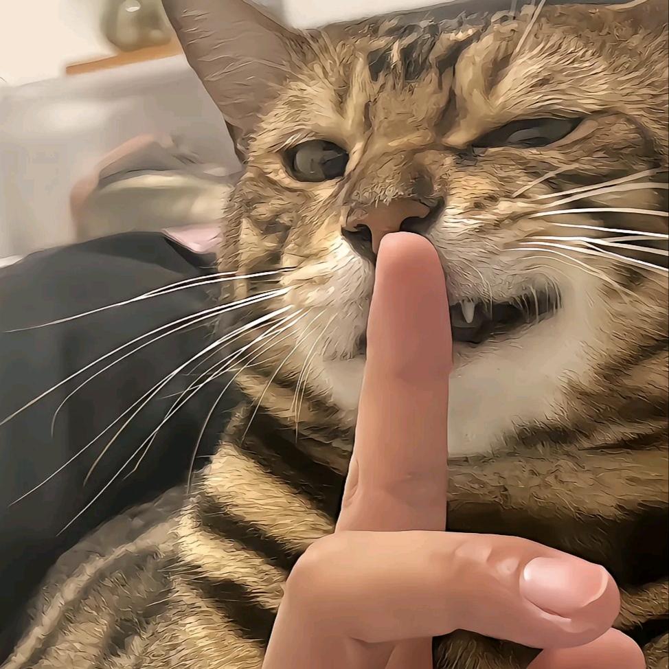 A灬包先森