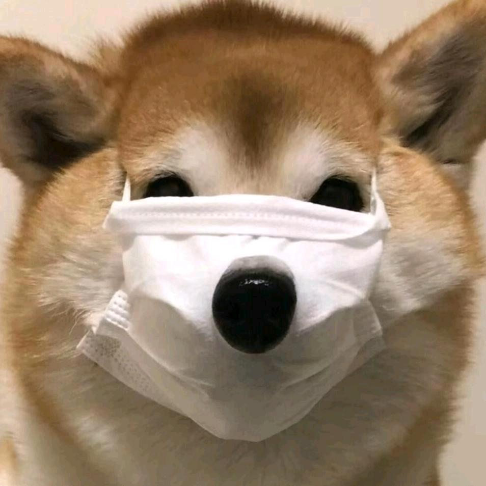 余轩