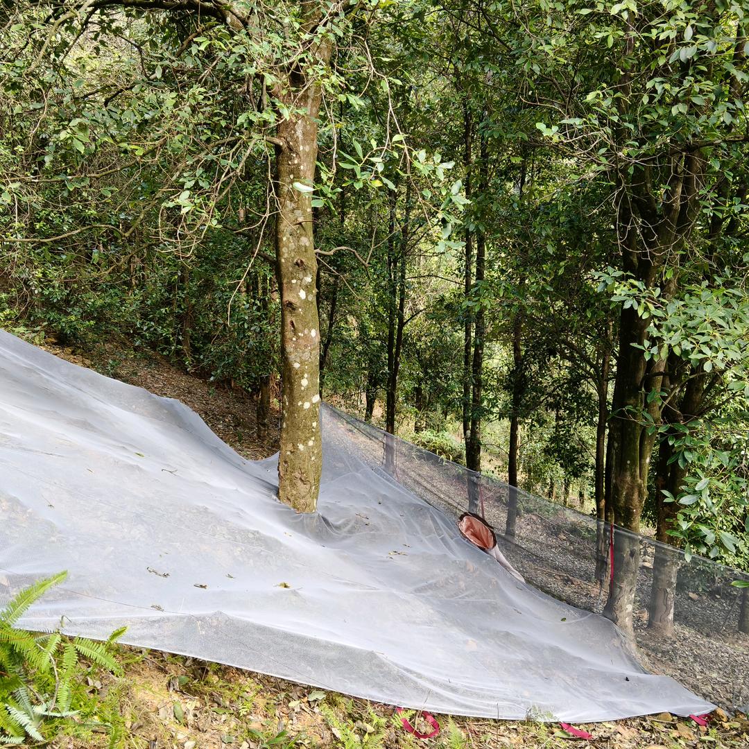 香然采摘农具优品