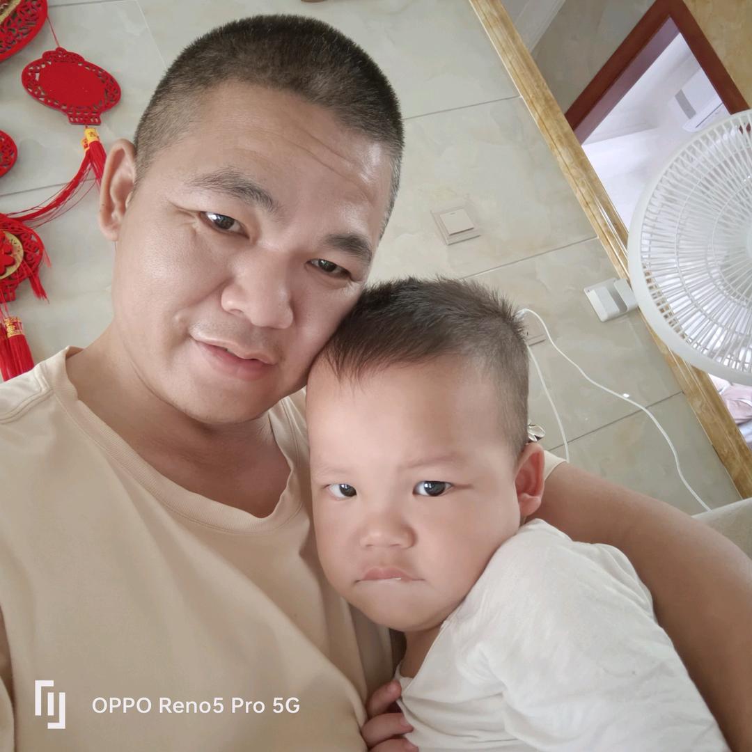 迷途小糕羊