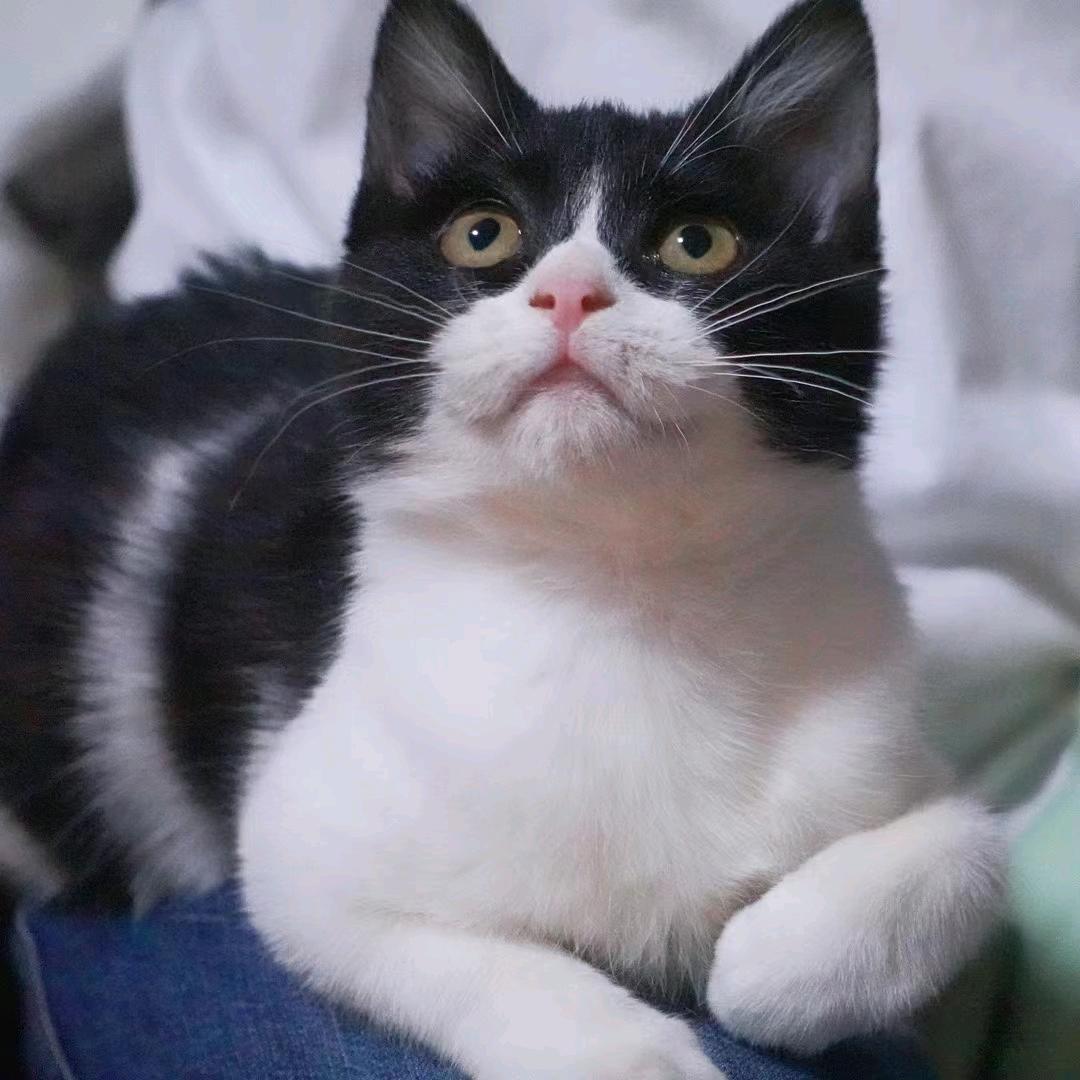 涅槃
