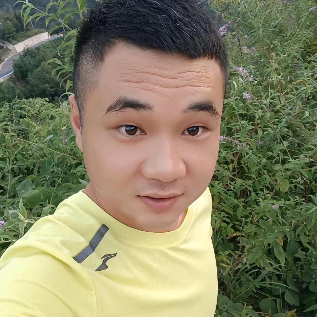 小熊兄