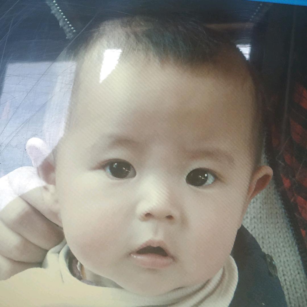 绿豆糕