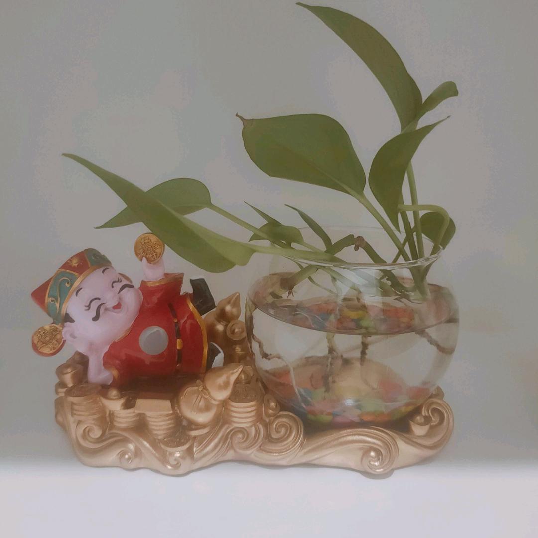 财🐉哥