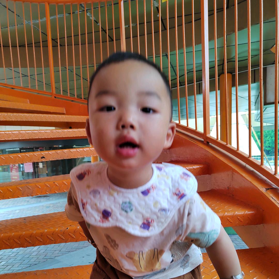 杨可可