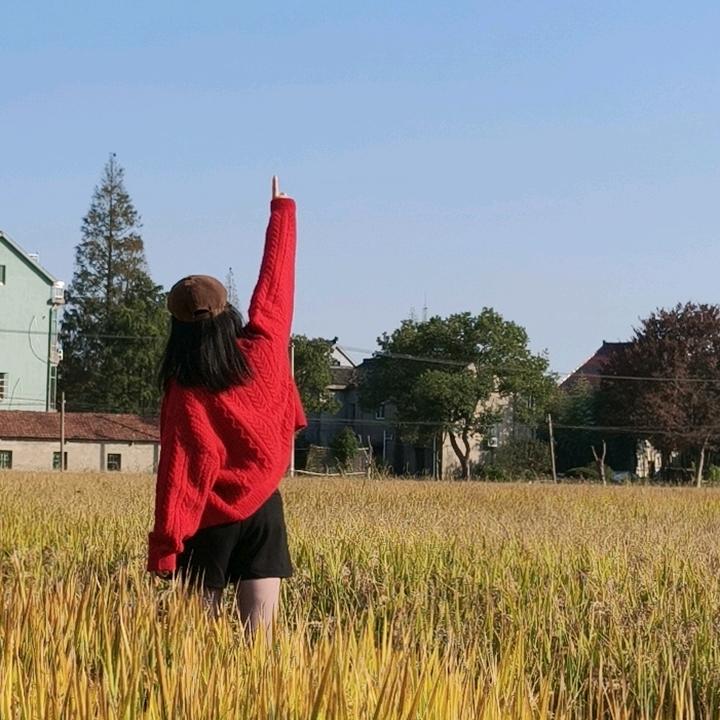 🐉待到春暖花开时⛅️