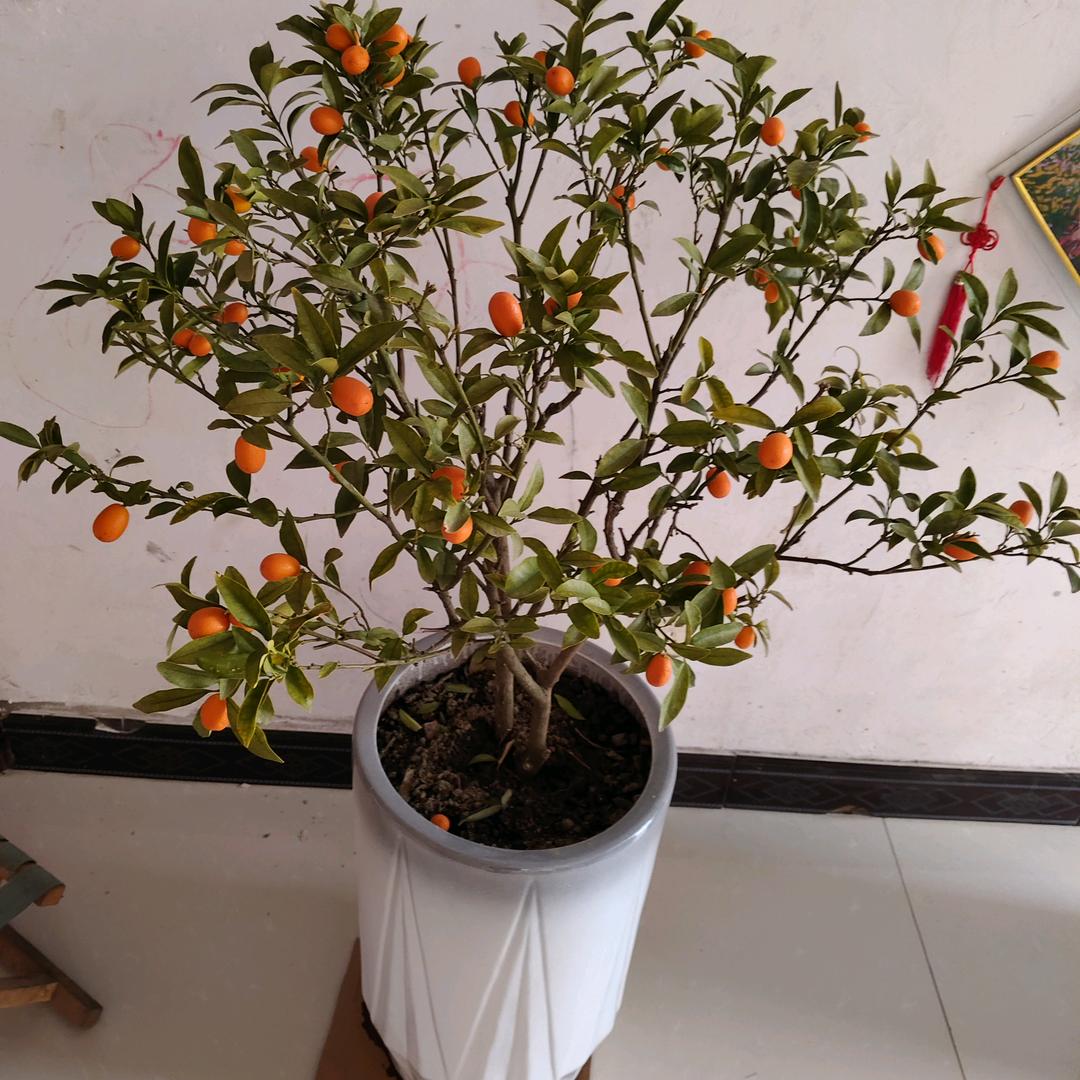 逝去的青春！！！！