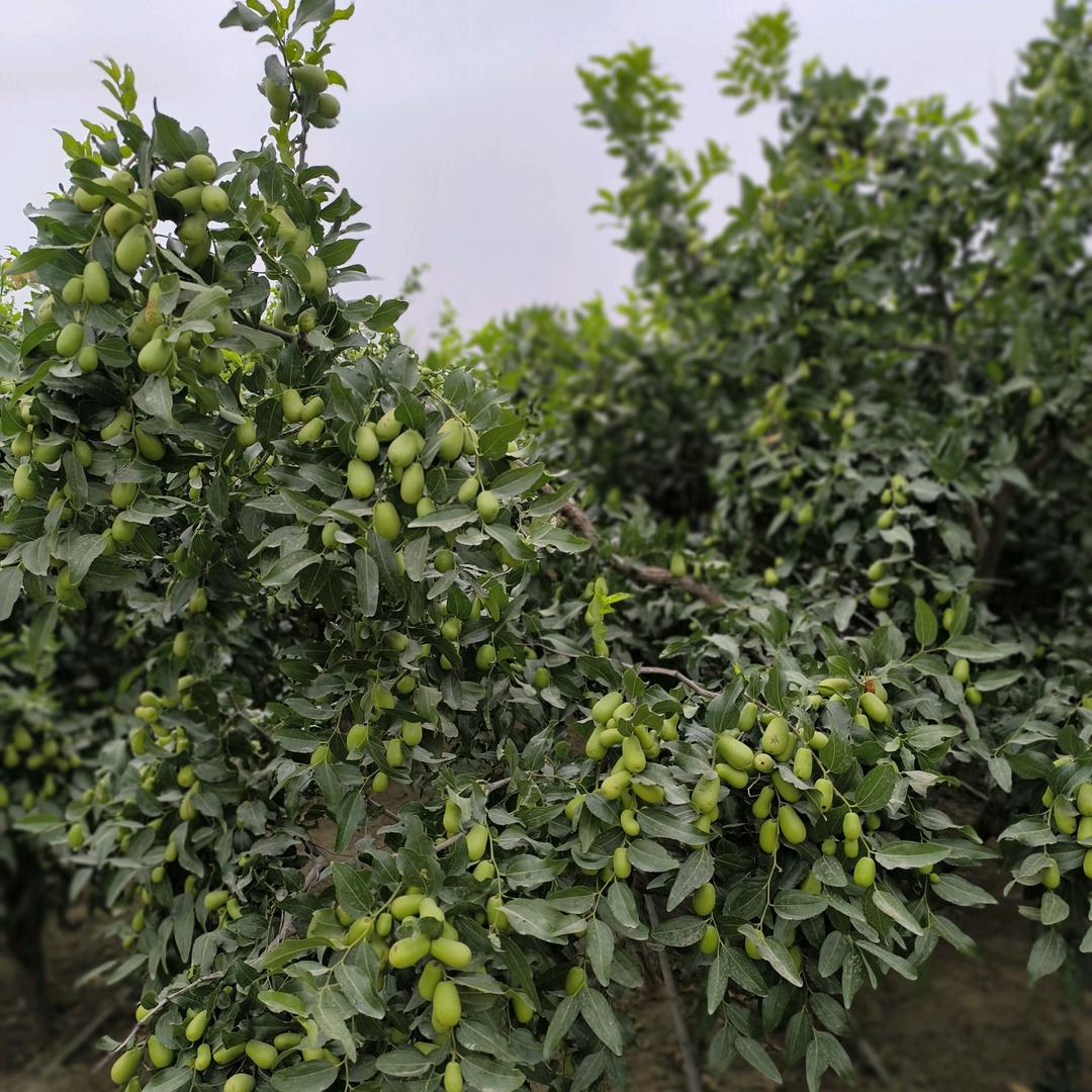 很高兴认识您。