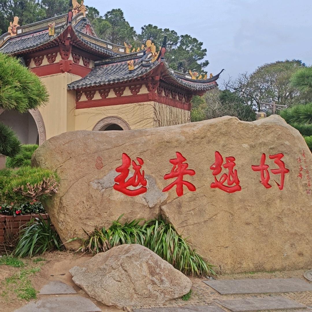 淡笑雲中鹤