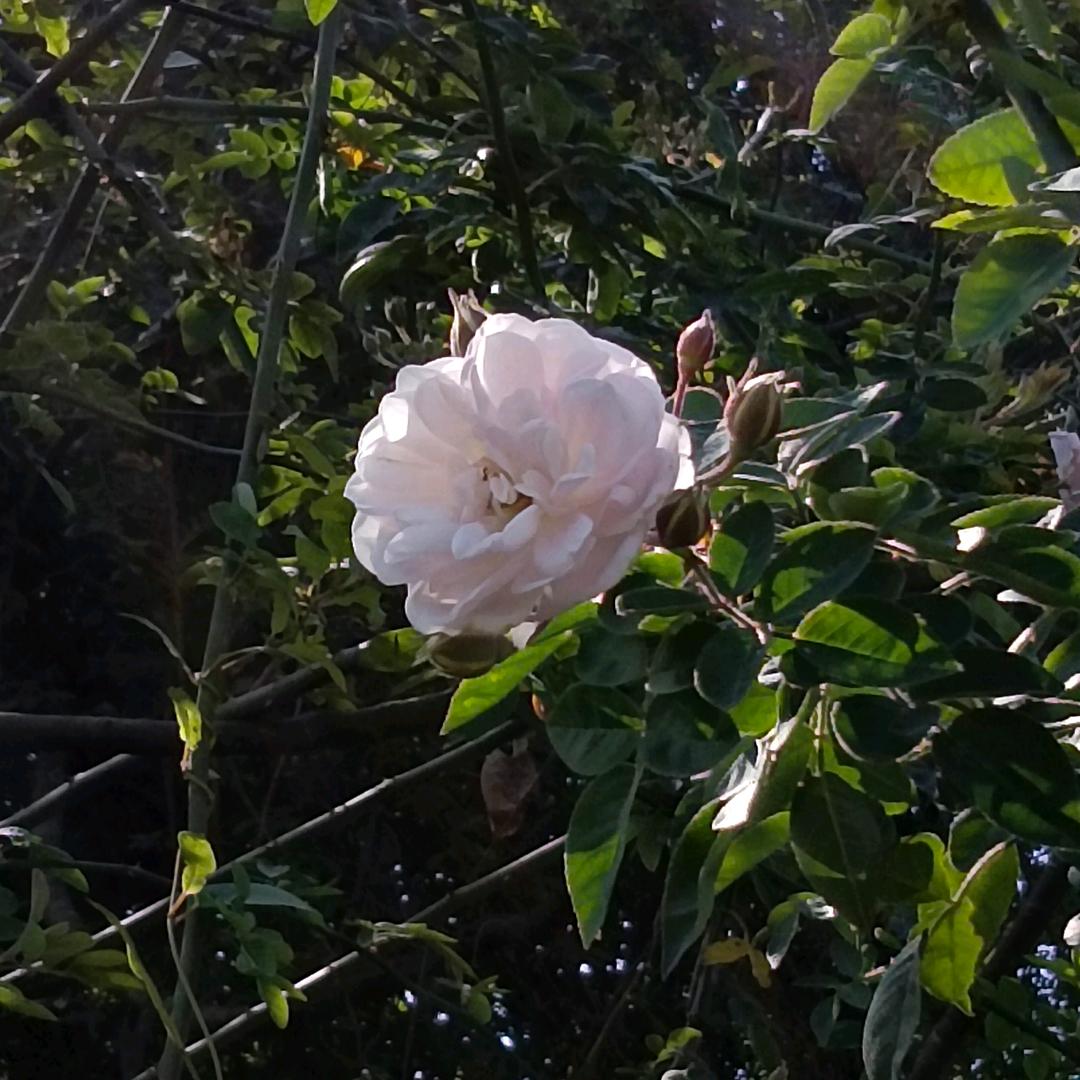 博的咪~👀✨️