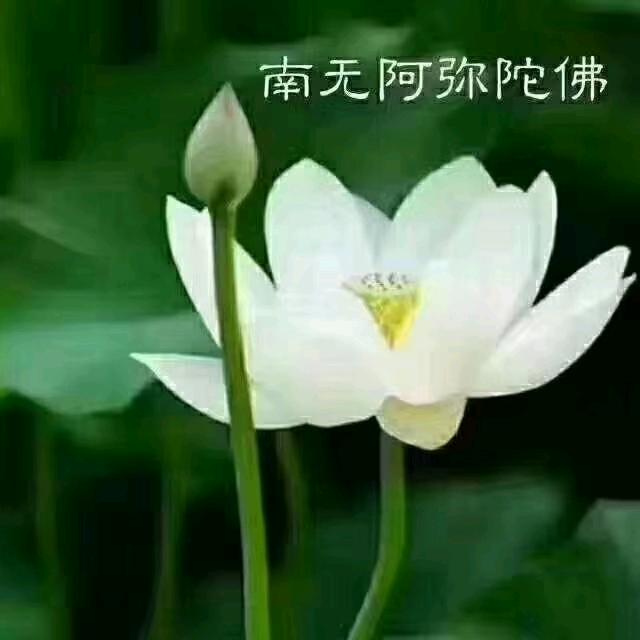 岁月静好👿👿