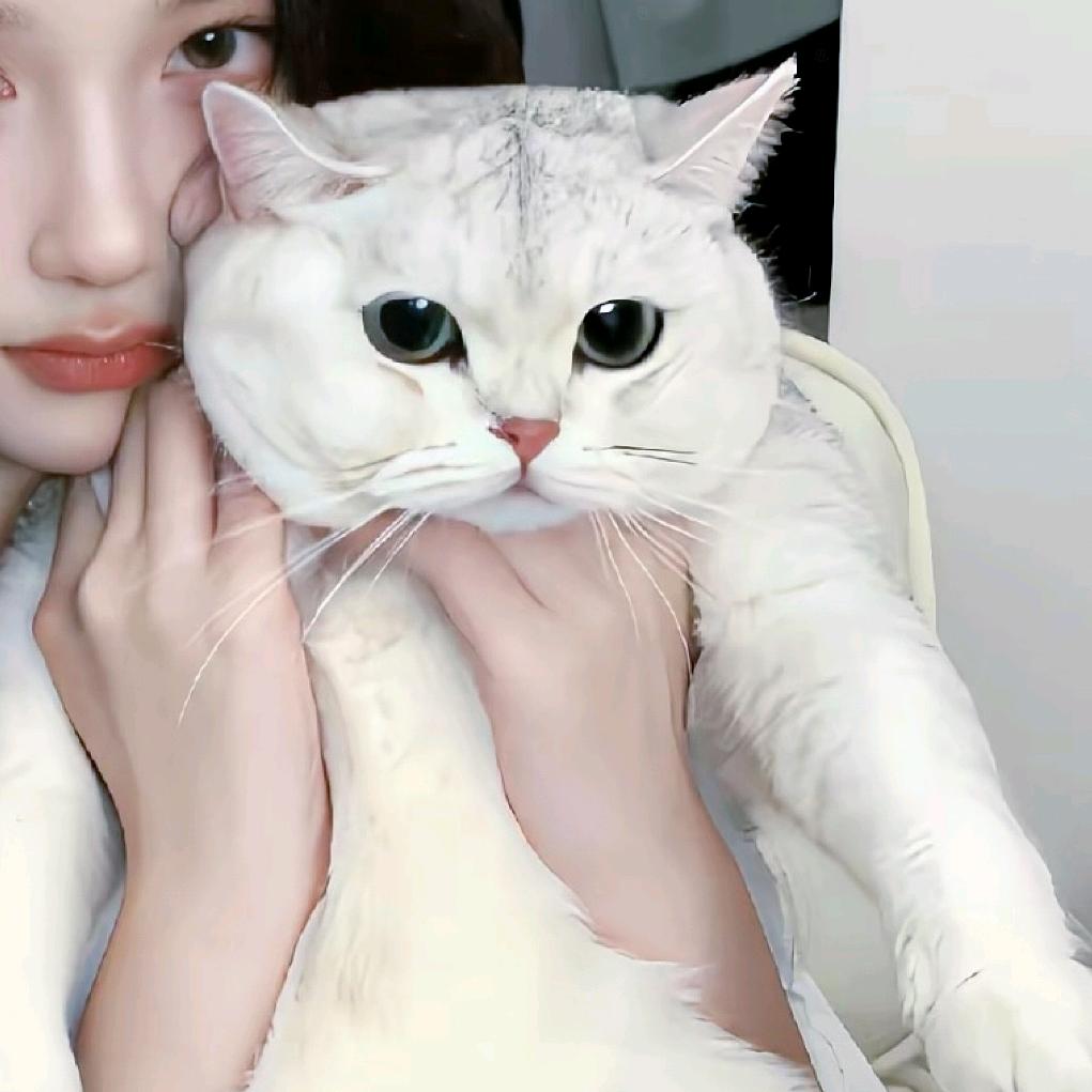 只爱小明